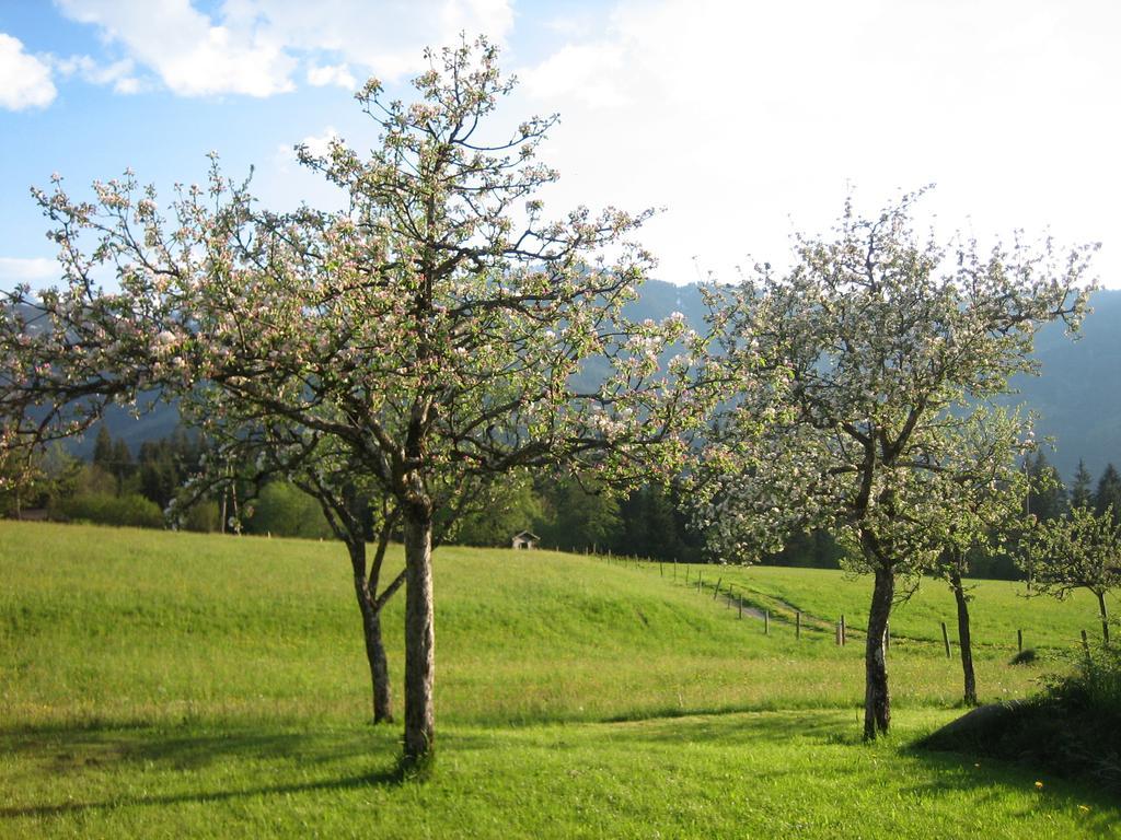 Pension Laerchenbrunn Westendorf Habitación foto